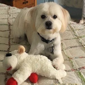 Meet your Posher, Catherine